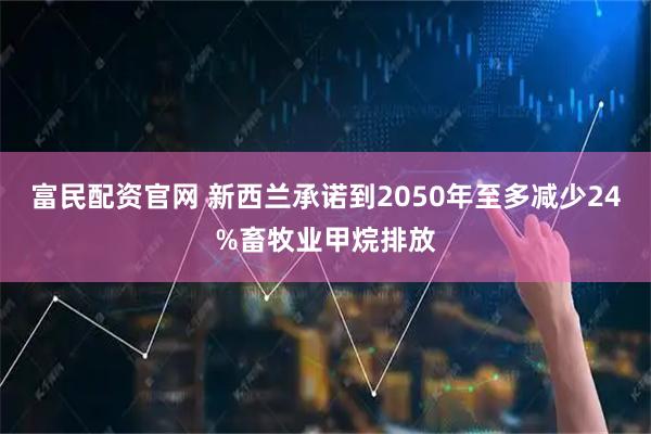富民配资官网 新西兰承诺到2050年至多减少24%畜牧业甲烷排放