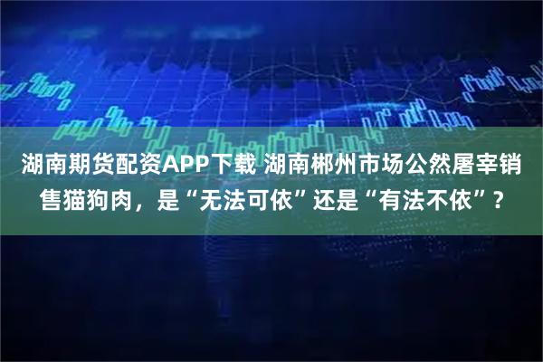 湖南期货配资APP下载 湖南郴州市场公然屠宰销售猫狗肉，是“无法可依”还是“有法不依”？