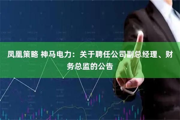 凤凰策略 神马电力：关于聘任公司副总经理、财务总监的公告