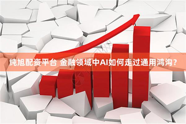 纯旭配资平台 金融领域中AI如何走过通用鸿沟？