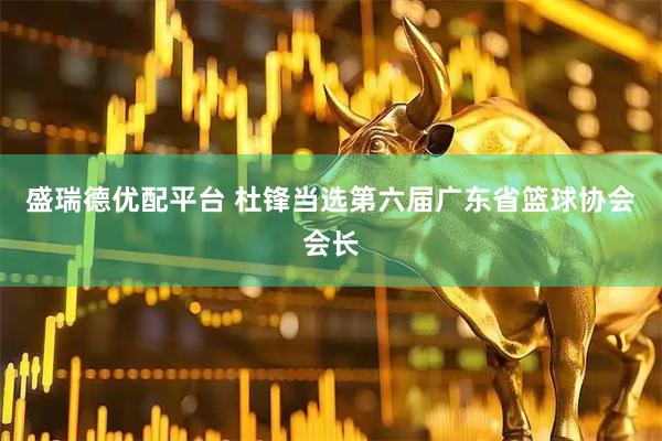盛瑞德优配平台 杜锋当选第六届广东省篮球协会会长