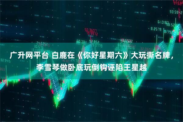 广升网平台 白鹿在《你好星期六》大玩撕名牌，李雪琴做卧底玩倒钩诬陷王星越