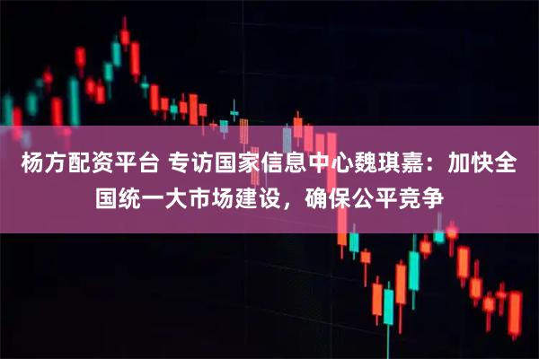 杨方配资平台 专访国家信息中心魏琪嘉：加快全国统一大市场建设，确保公平竞争