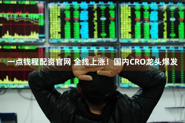 一点钱程配资官网 全线上涨！国内CRO龙头爆发
